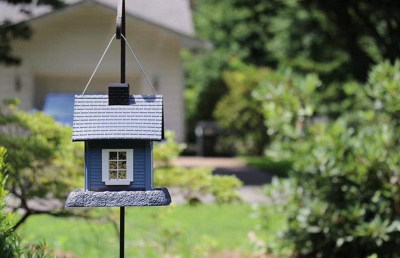 Enchanted Birdhouses