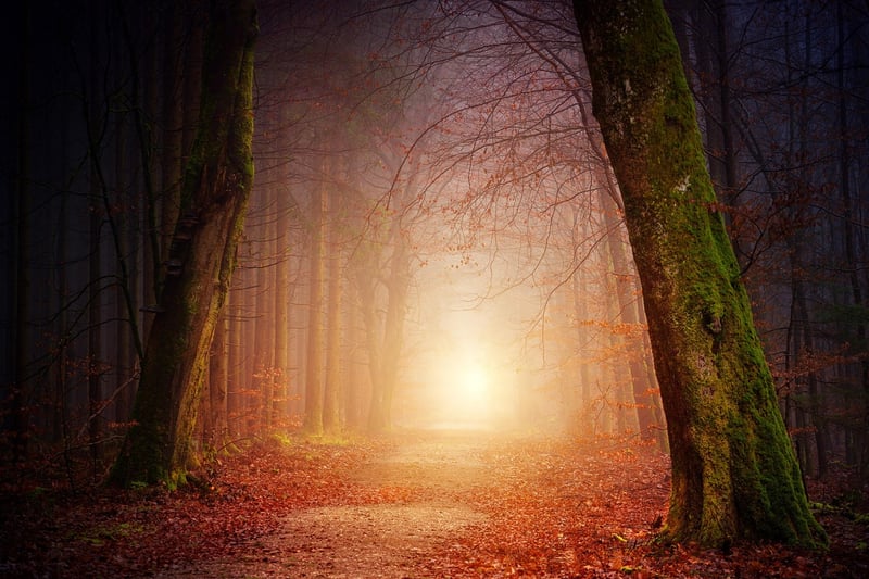 Enchanted Pathway