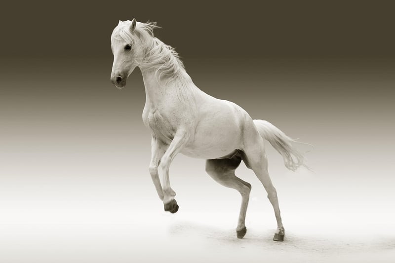 Pegasus